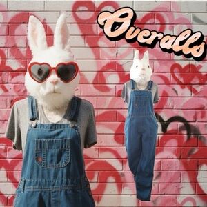 Women’s Dickies Blue Overalls M